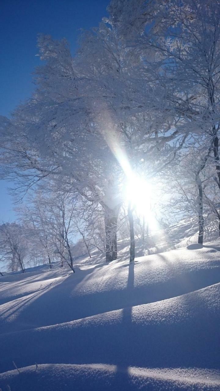 Nozawa Dream Central Esterno foto