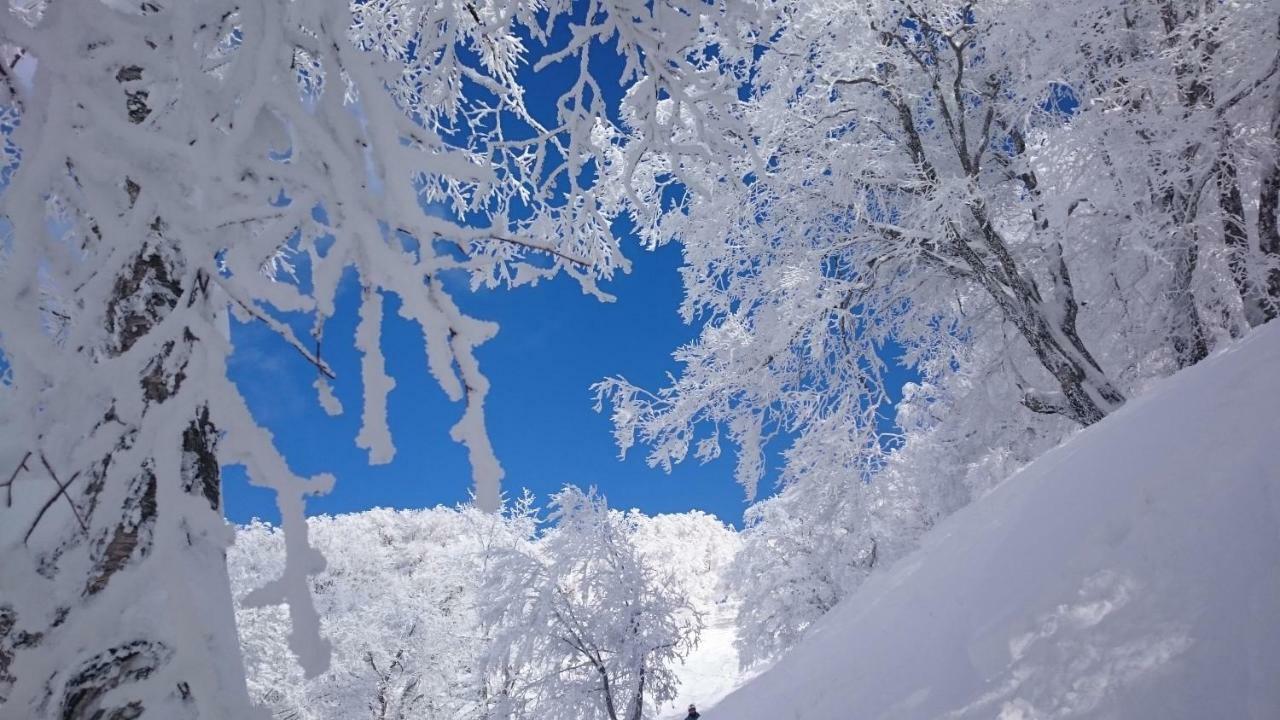 Nozawa Dream Central Esterno foto