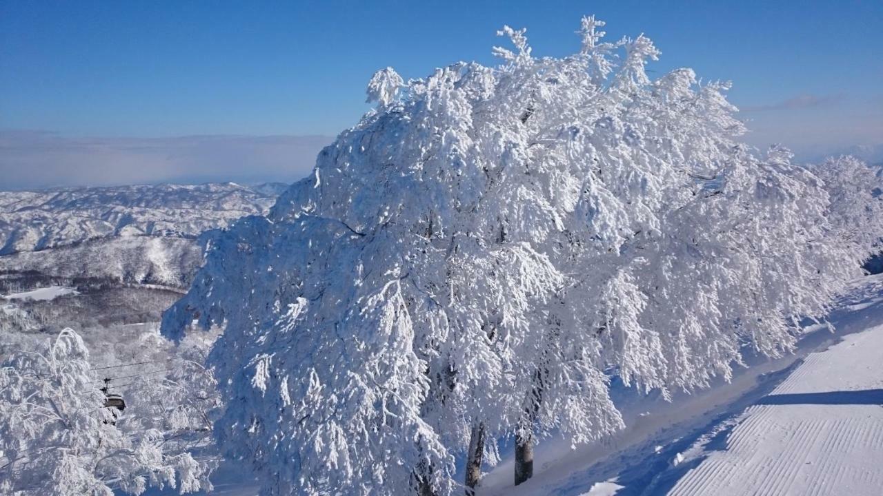 Nozawa Dream Central Esterno foto