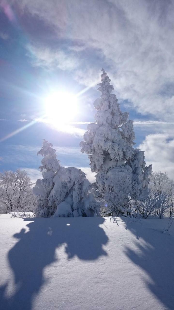 Nozawa Dream Central Esterno foto