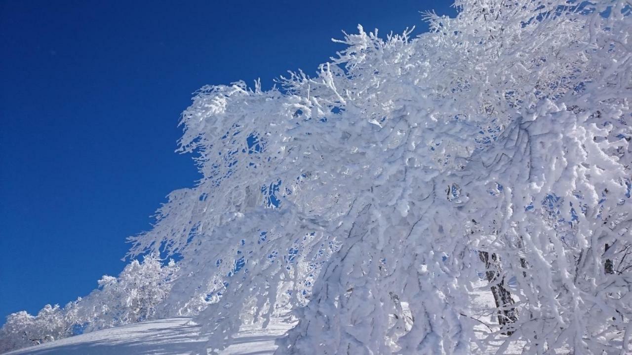 Nozawa Dream Central Esterno foto